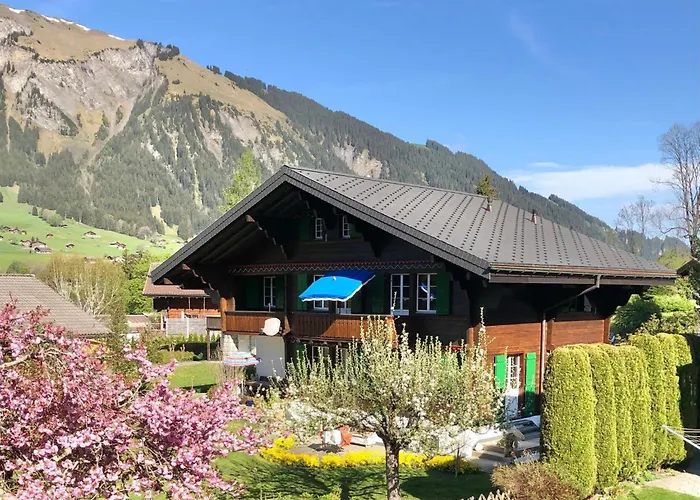 Traeumli By Interhome *