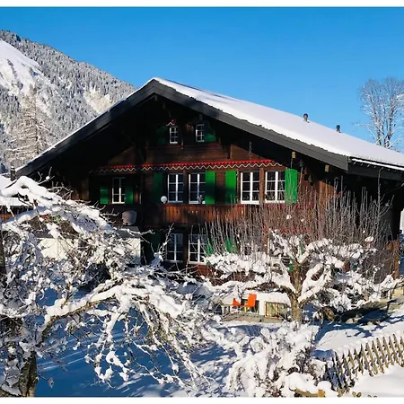 Apartmán Traeumli By Interhome Lenk